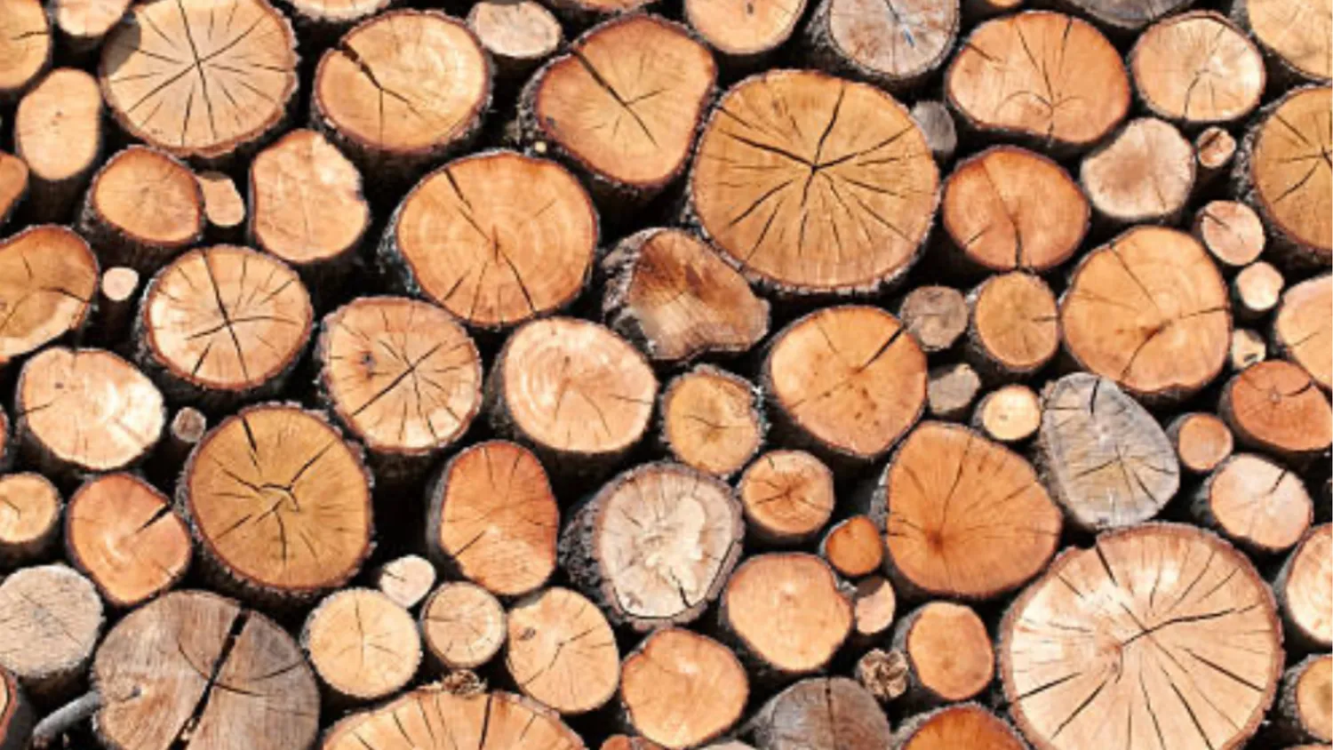 Bûches de bois